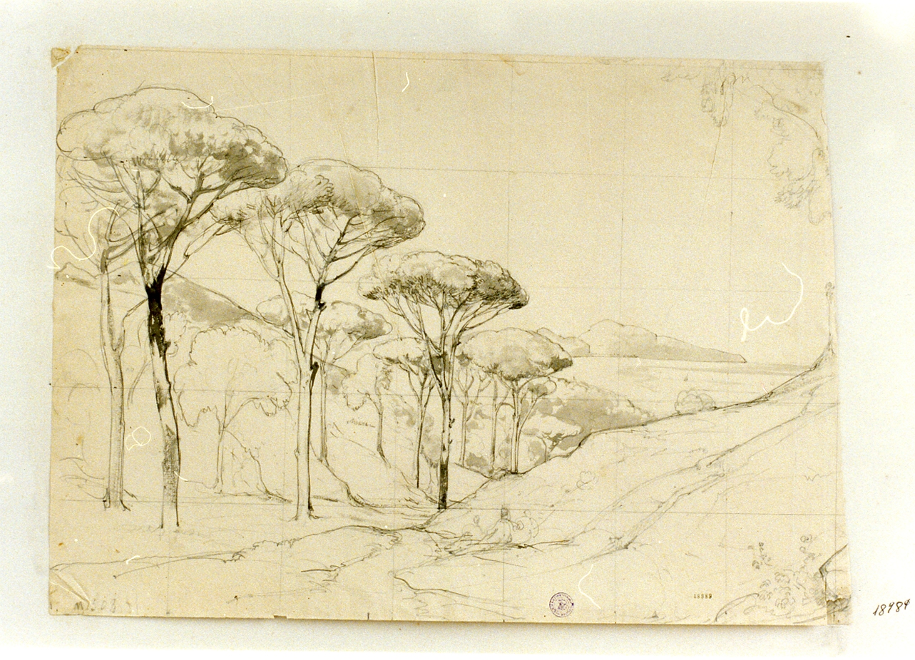 studio di paesaggio presso Massalubrense (disegno) di Gigante Giacinto (sec. XIX)