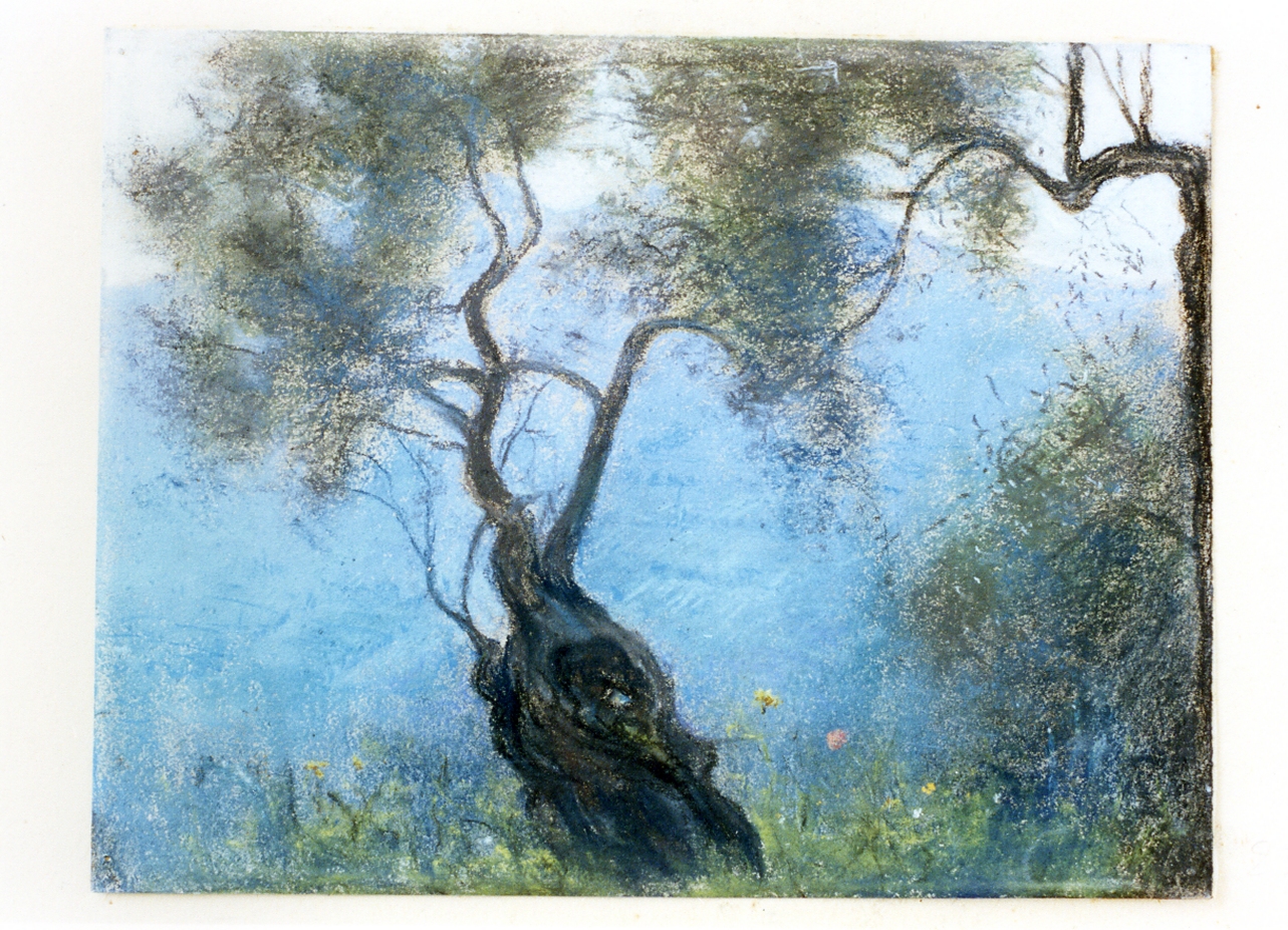 paesaggio costiero con albero (disegno) di Abignente Giovanni (sec. XX)