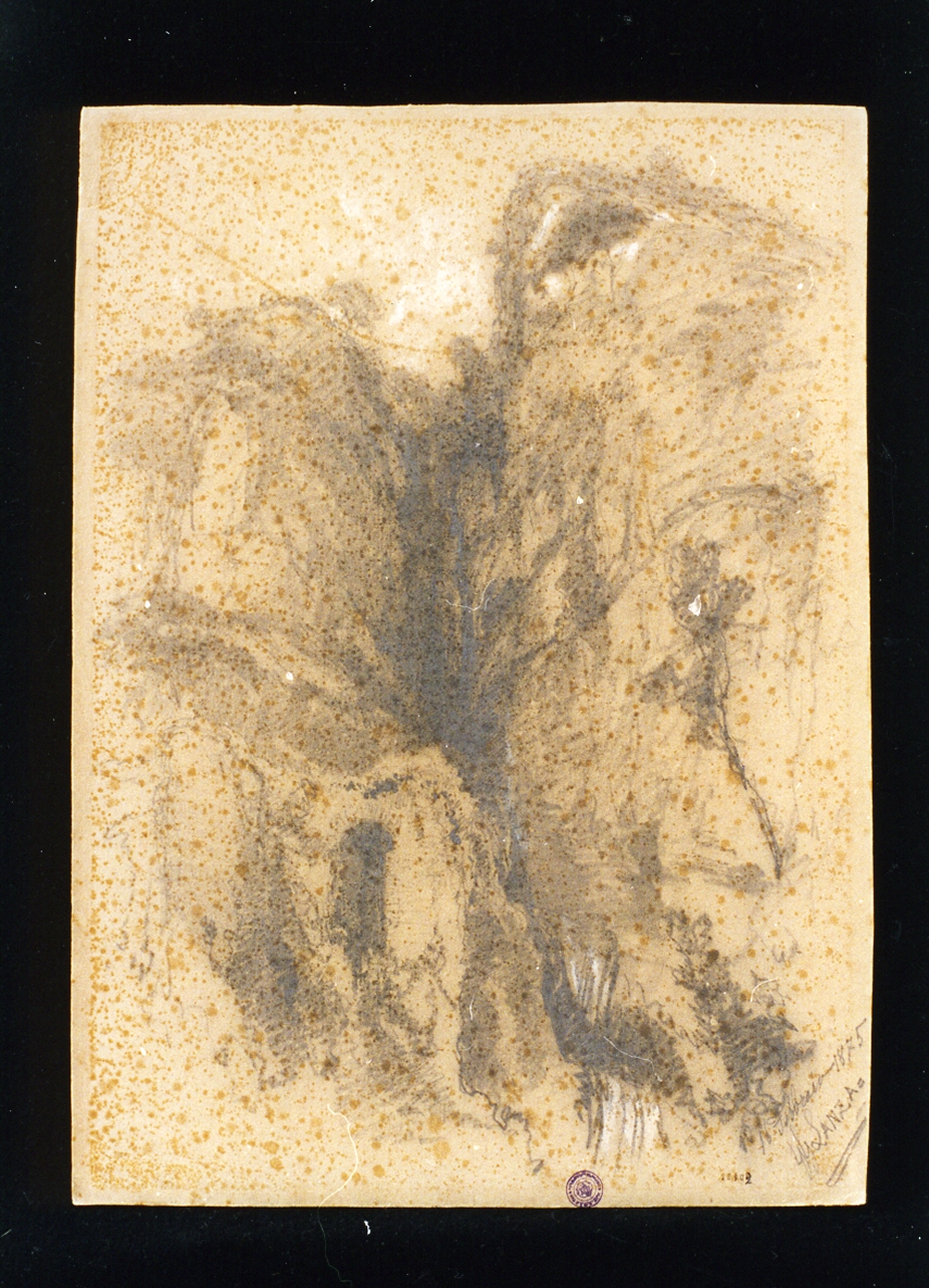 paesaggio roccioso (disegno) di Lanza Giovanni Giordano (sec. XIX)