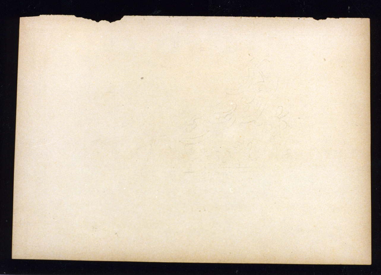 schizzo di decorazione di mattonella persiana (disegno) di Vetri Paolo (sec. XIX)