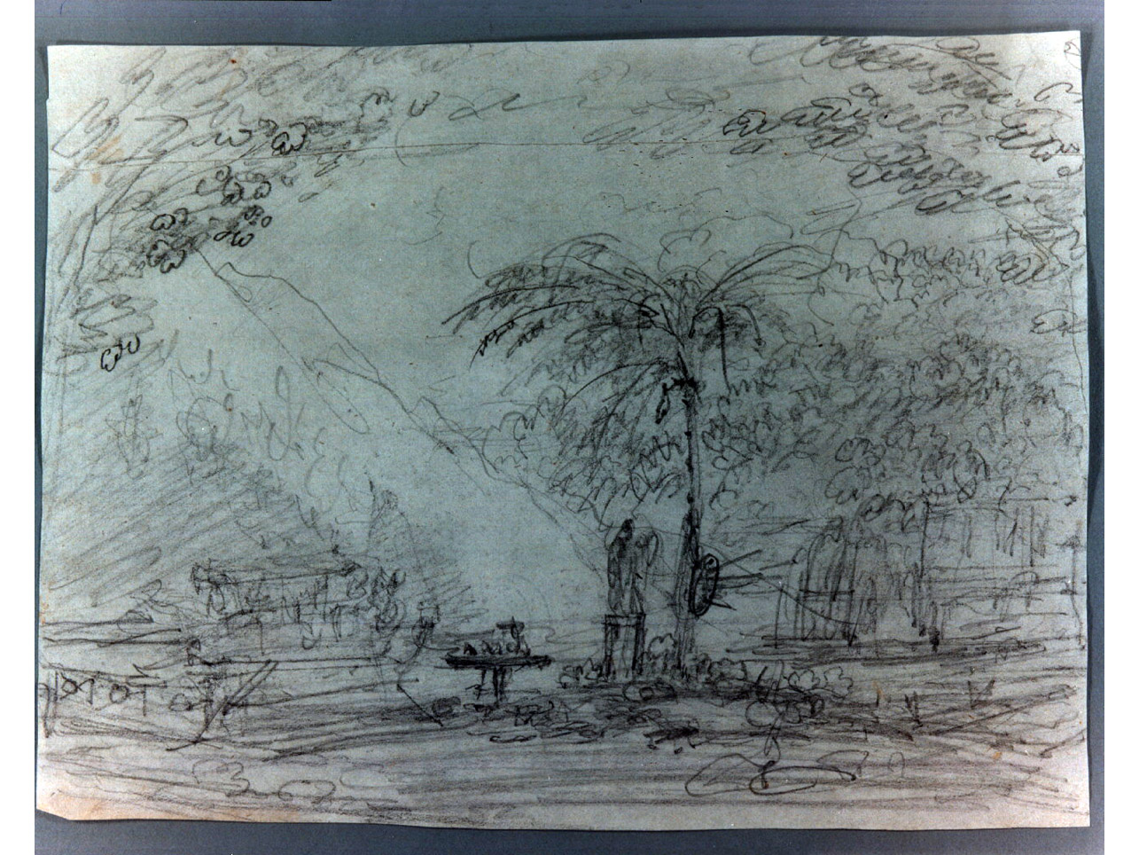 boschetto (disegno, elemento d'insieme) di Niccolini Antonio (sec. XIX)