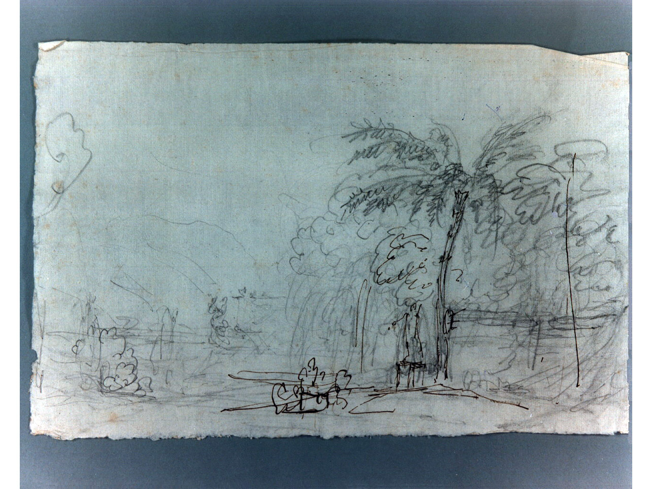 boschetto (disegno, elemento d'insieme) di Niccolini Antonio (sec. XIX)