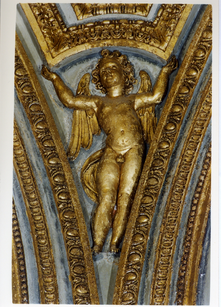 putto alato (decorazione plastica) di Fanzago Cosimo (sec. XVII)