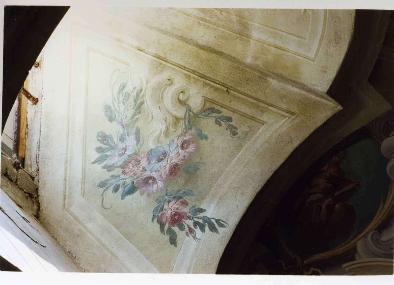 motivi decorativi floreali (dipinto) di Natali Giovan Battista (sec. XVIII)
