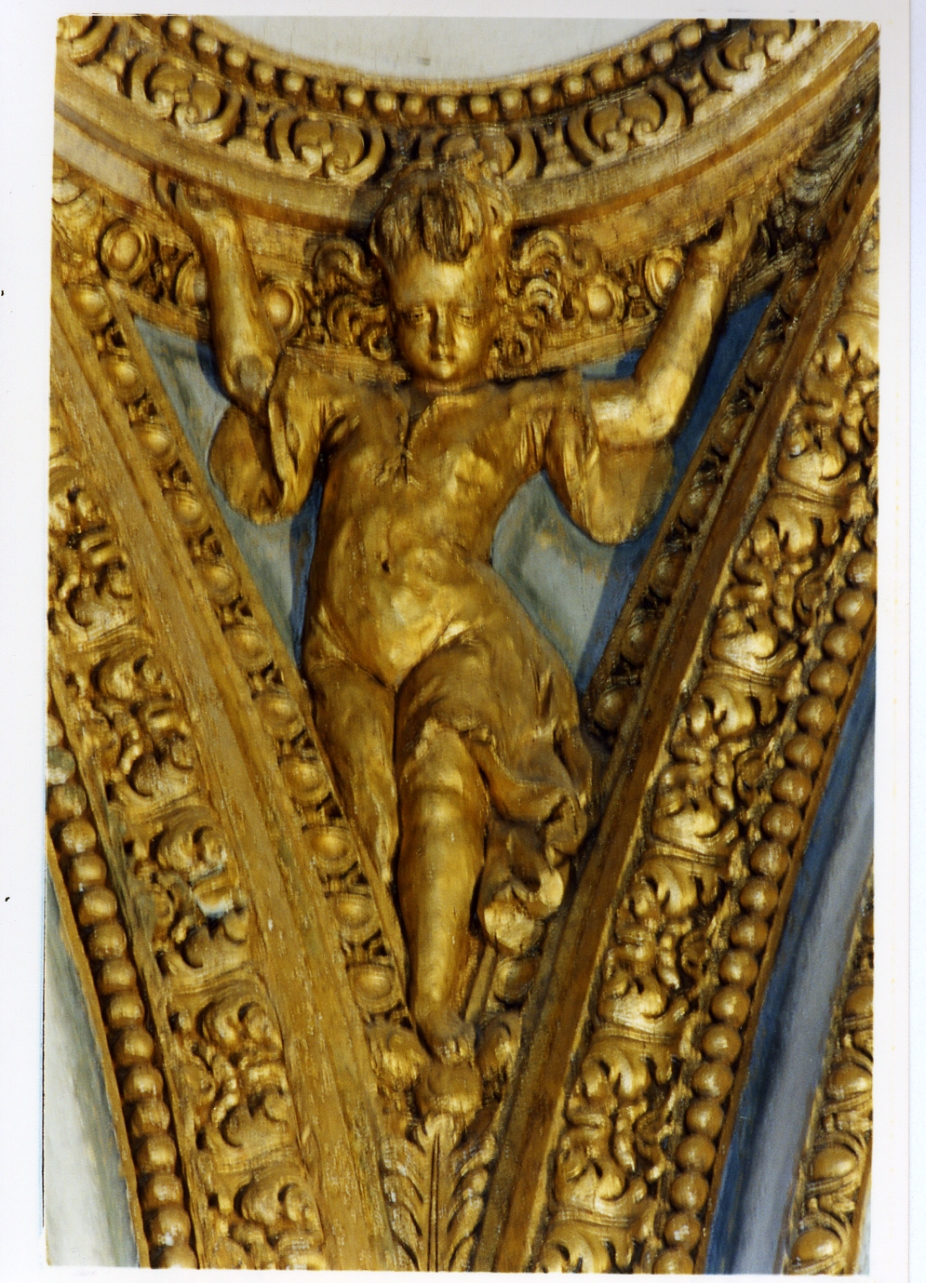 angelo (decorazione plastica, serie) di Fanzago Cosimo (sec. XVII)