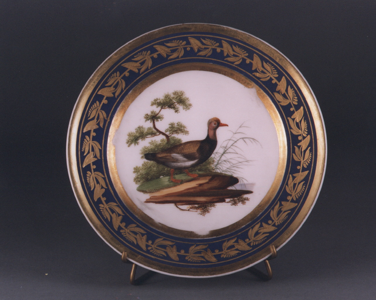 motivi decorativi floreali (piatto) - manifattura francese (sec. XIX)