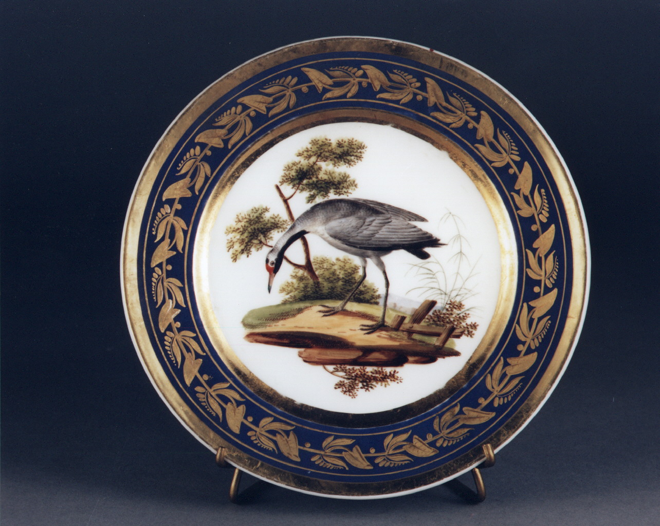 motivi decorativi floreali (piatto) - manifattura francese (sec. XIX)