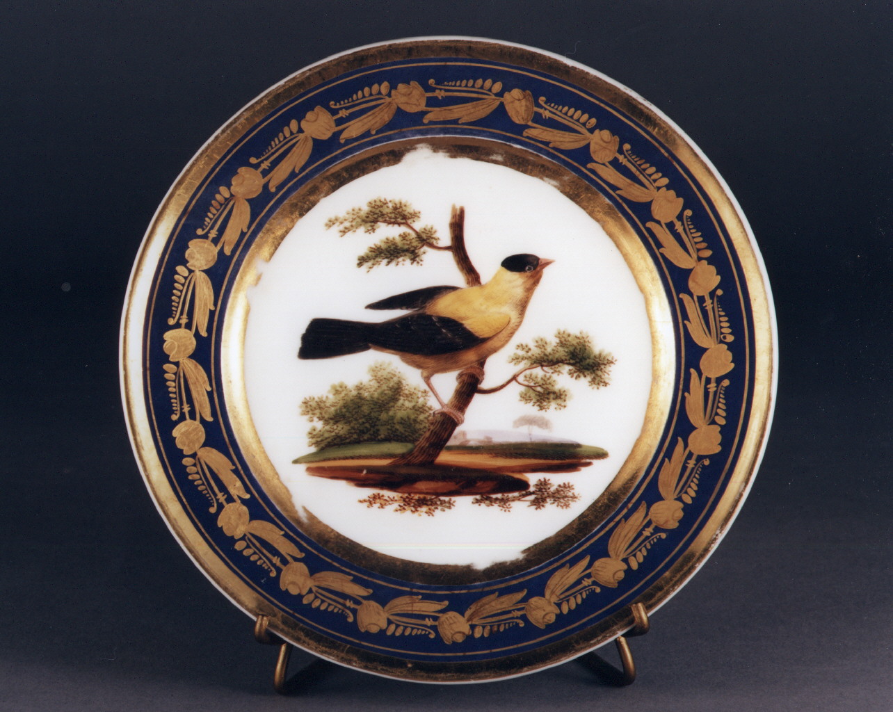 motivo decorativo floreale (piatto) - manifattura francese (sec. XIX)