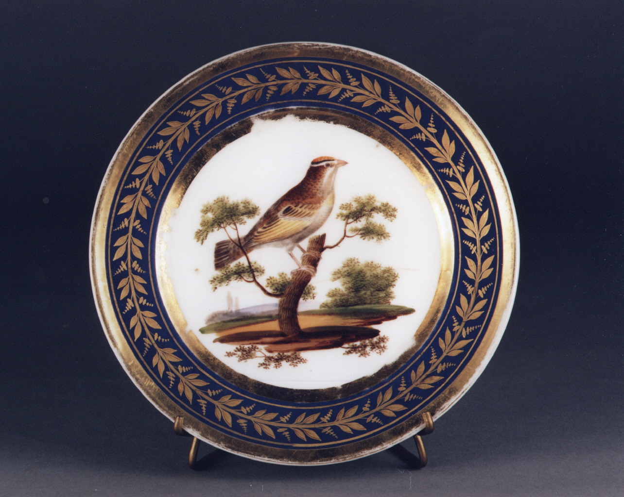 motivi decorativi vegetali (piatto) - manifattura francese (sec. XIX)