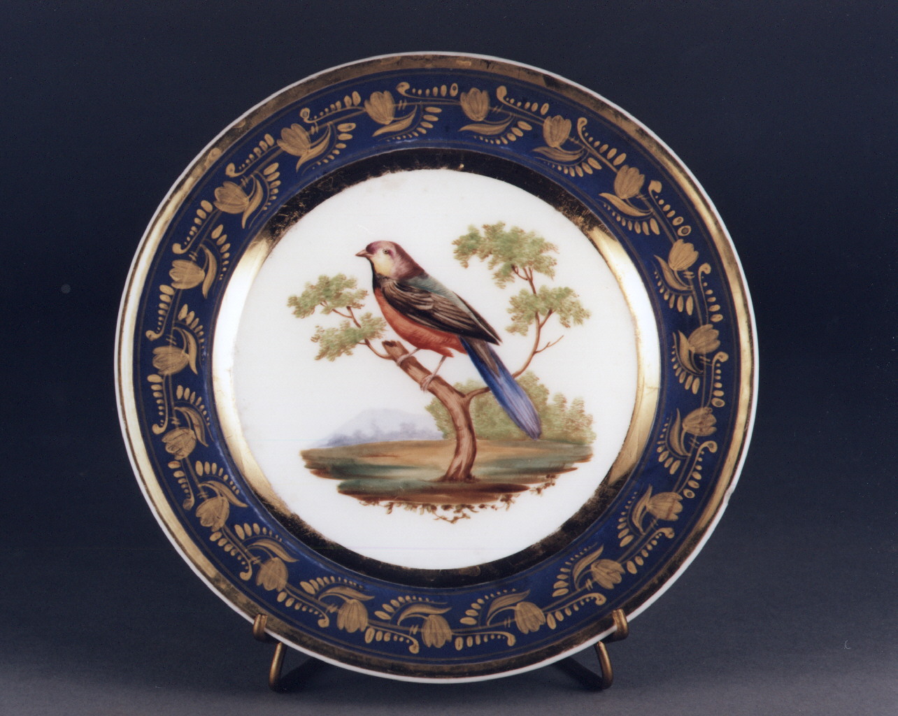 motivi decorativi floreali (piatto) - manifattura francese (sec. XIX)