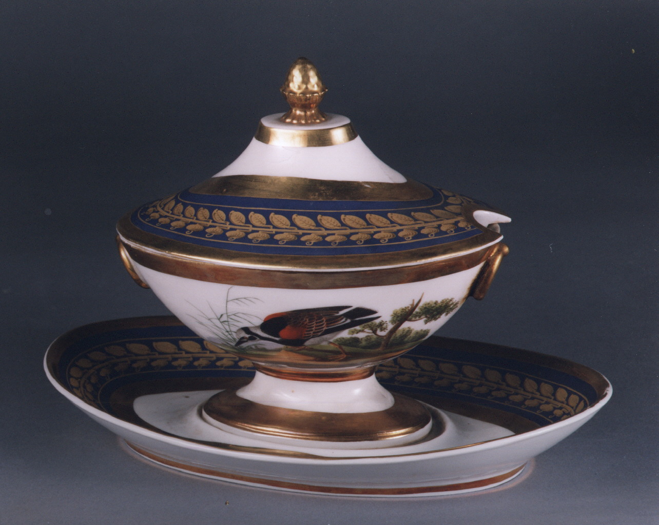 motivi decorativi floreali (salsiera) - manifattura francese (sec. XIX)