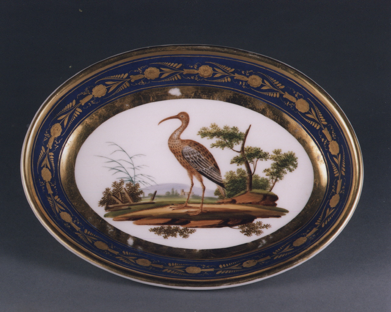 motivi decorativi floreali (piatto) - manifattura francese (sec. XIX)