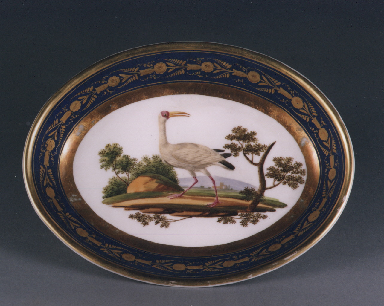 motivi decorativi floreali (piatto) - manifattura francese (sec. XIX)