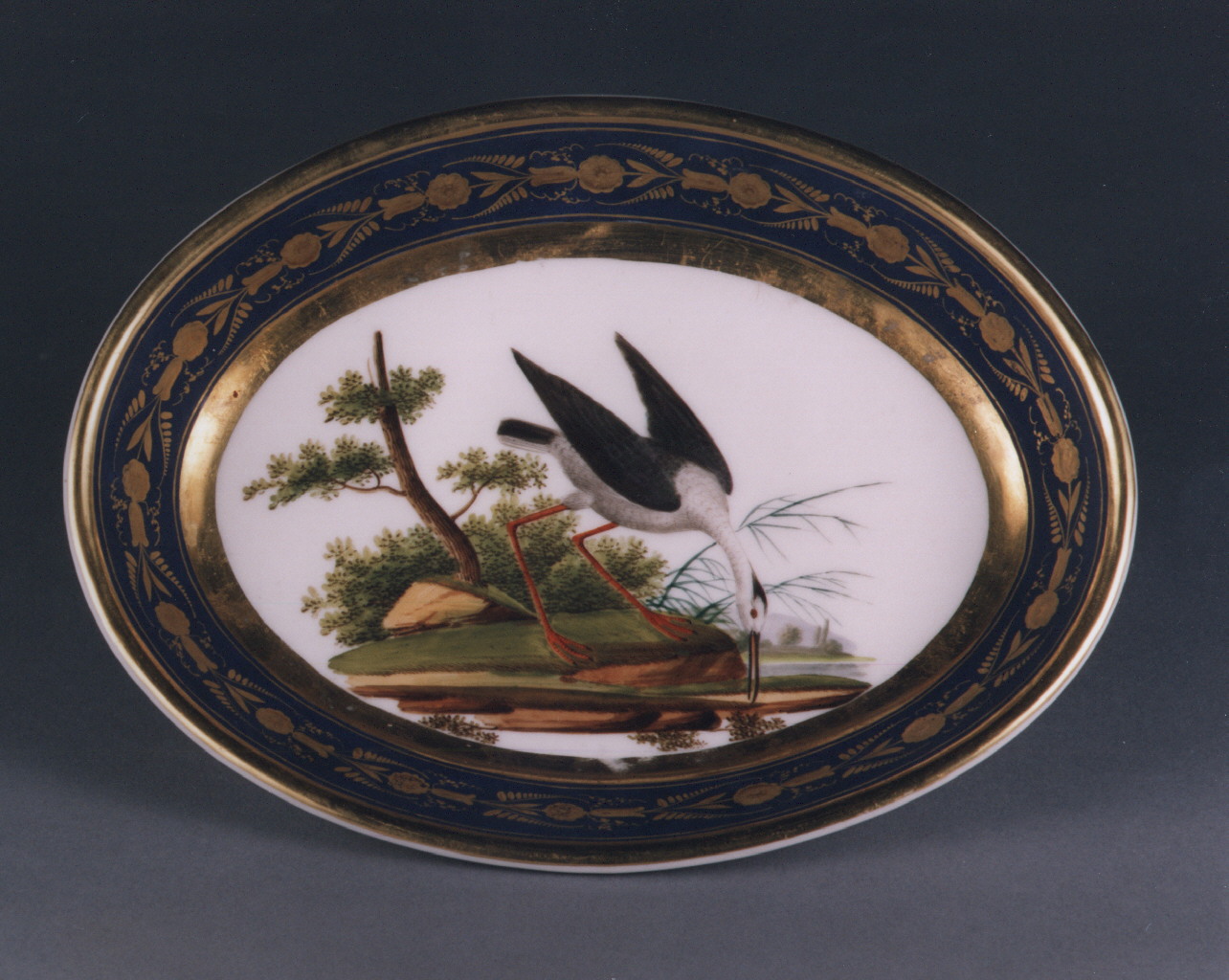 motivi decorativi floreali (piatto) - manifattura francese (sec. XIX)