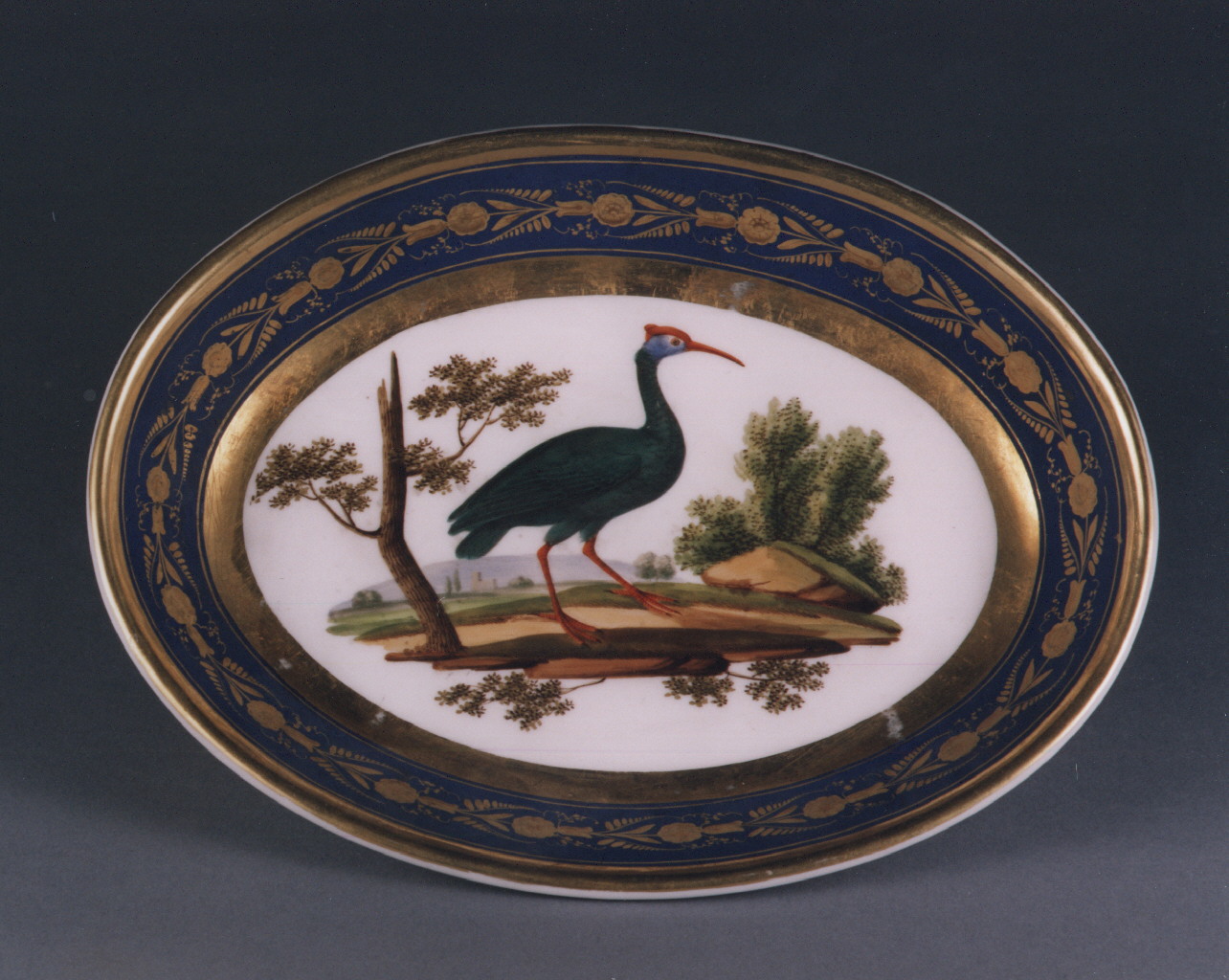 motivi decorativi floreali (piatto) - manifattura francese (sec. XIX)