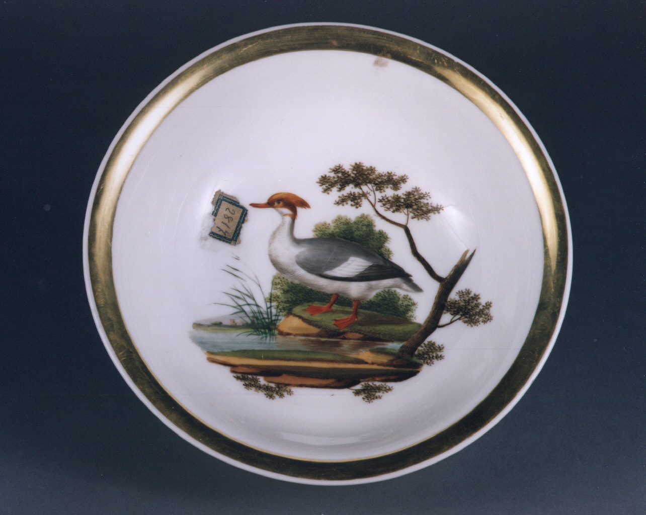 motivi decorativi vegetali (coppa) - manifattura francese (sec. XIX)