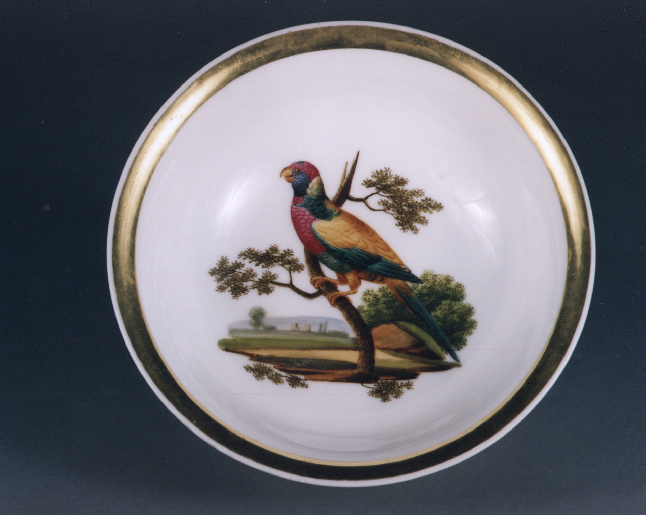 motivi decorativi vegetali (coppa) - manifattura francese (sec. XIX)