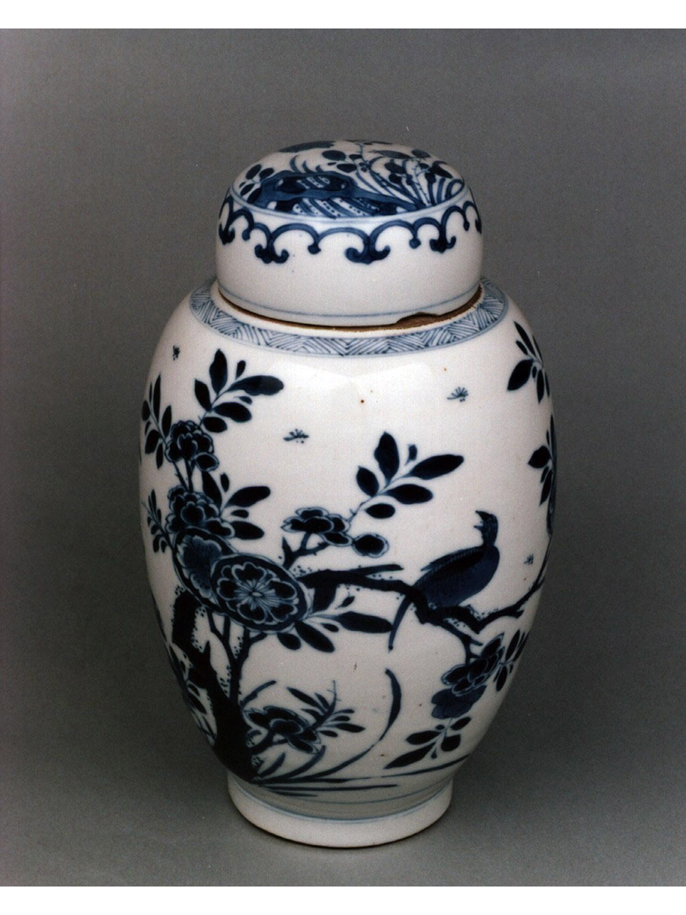 motivi decorativi vegetali (vaso) - manifattura cinese (secc. XVII/ XVIII)