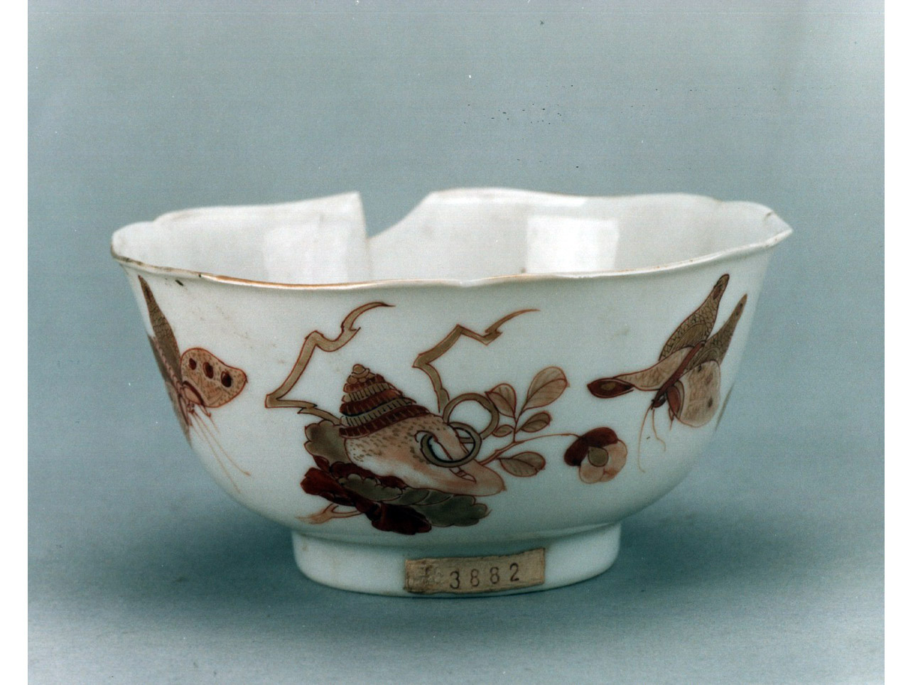 motivi decorativi vegetali e animali (coppetta) - manifattura cinese (sec. XVIII)