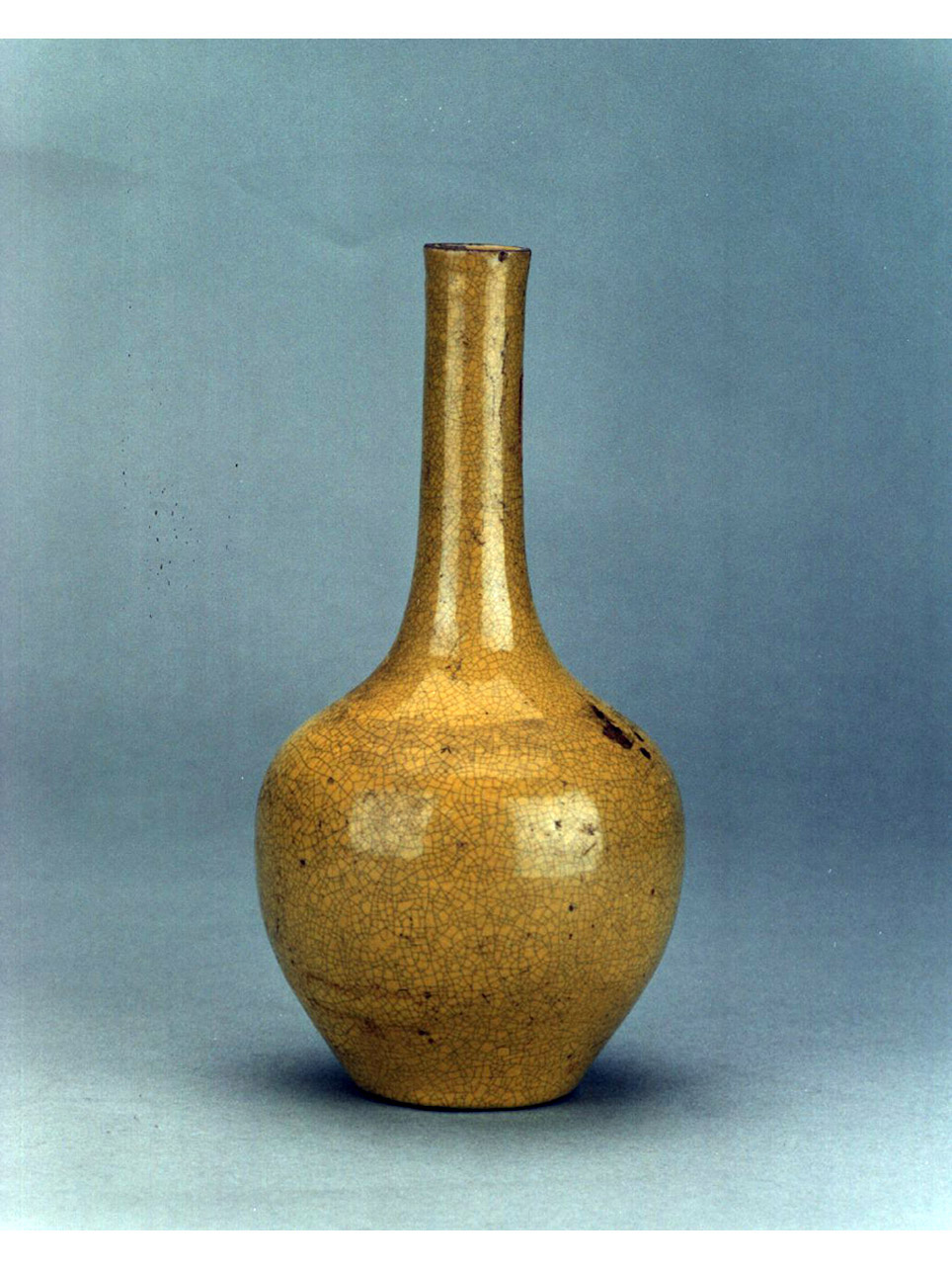 bottiglia - manifattura cinese (sec. XVIII)