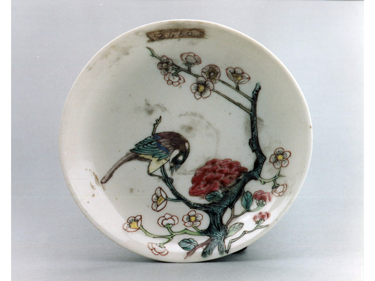 motivi decorativi vegetali e animali (piattino) - manifattura cinese (sec. XVIII)