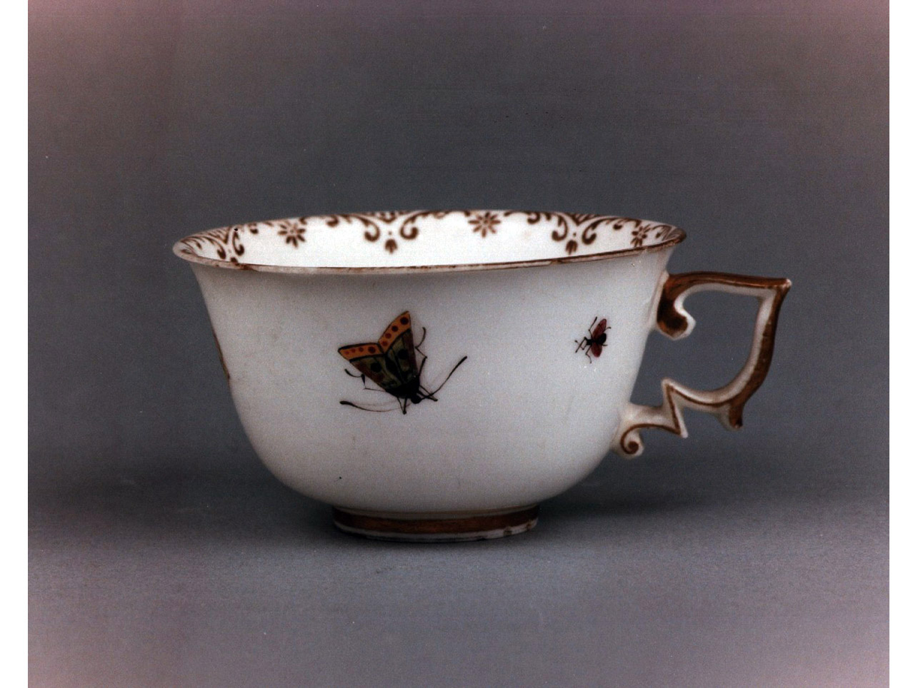 motivi decorativi vegetali e animali (tazza) - manifattura di Capodimonte (sec. XVIII)