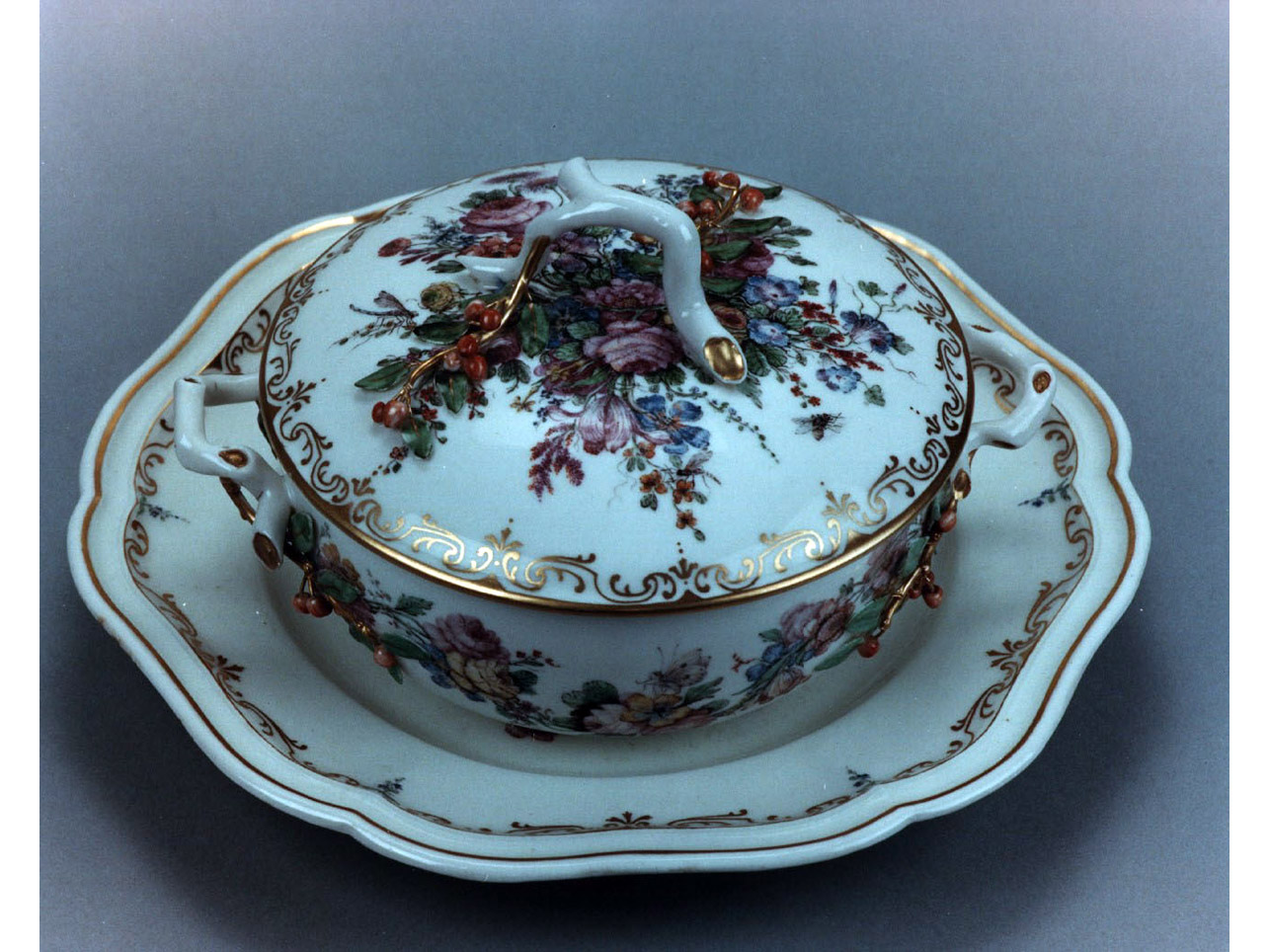 motivi decorativi vegetali e animali (tazza puerperale) di Caselli Giovanni (sec. XVIII)