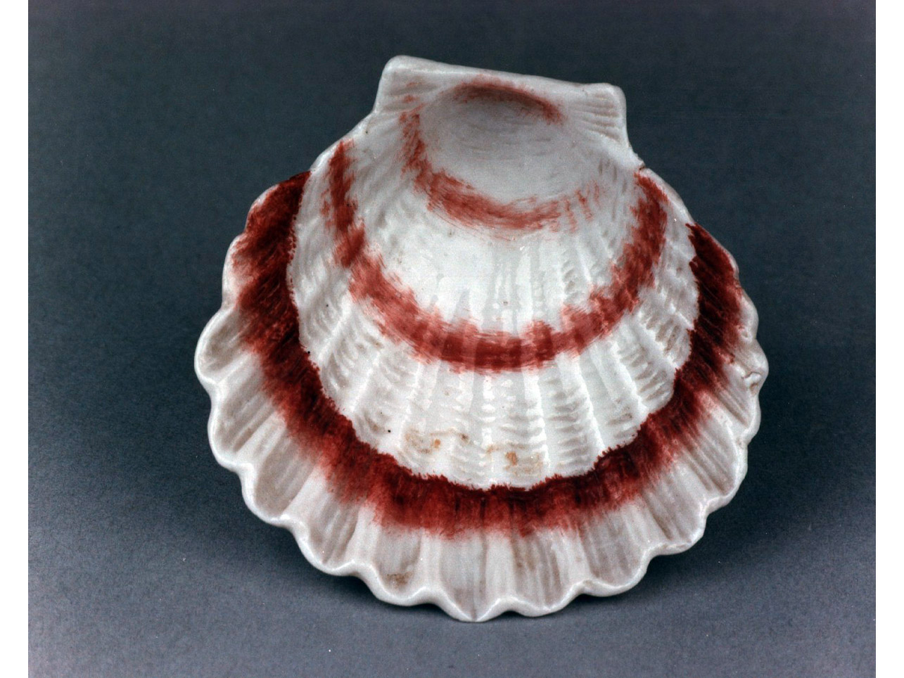 conchiglia (saliera) - manifattura di Doccia (sec. XVIII)