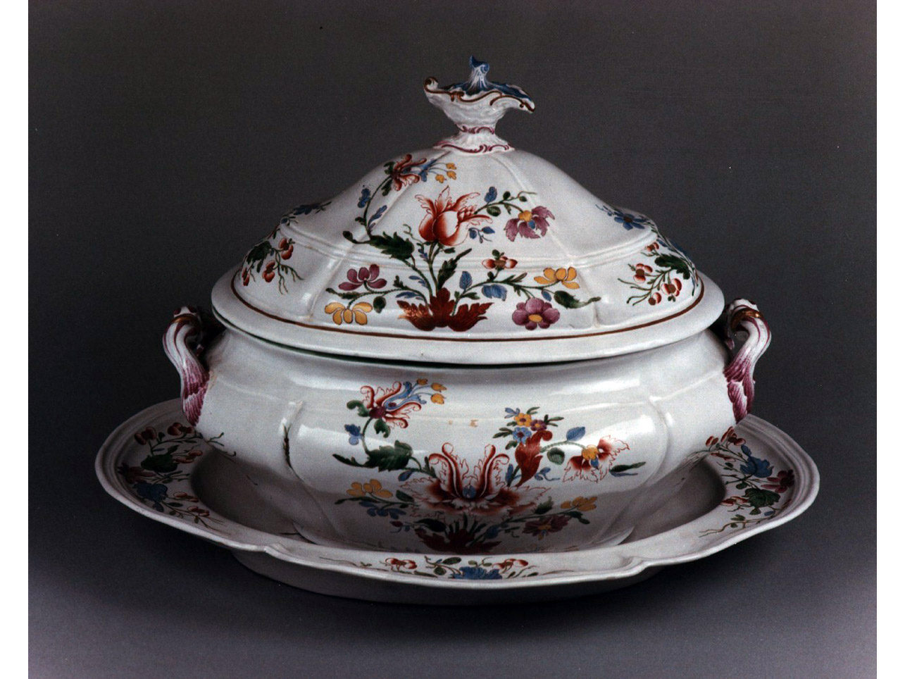 motivi decorativi floreali (piatto) - manifattura di Doccia (sec. XVIII)