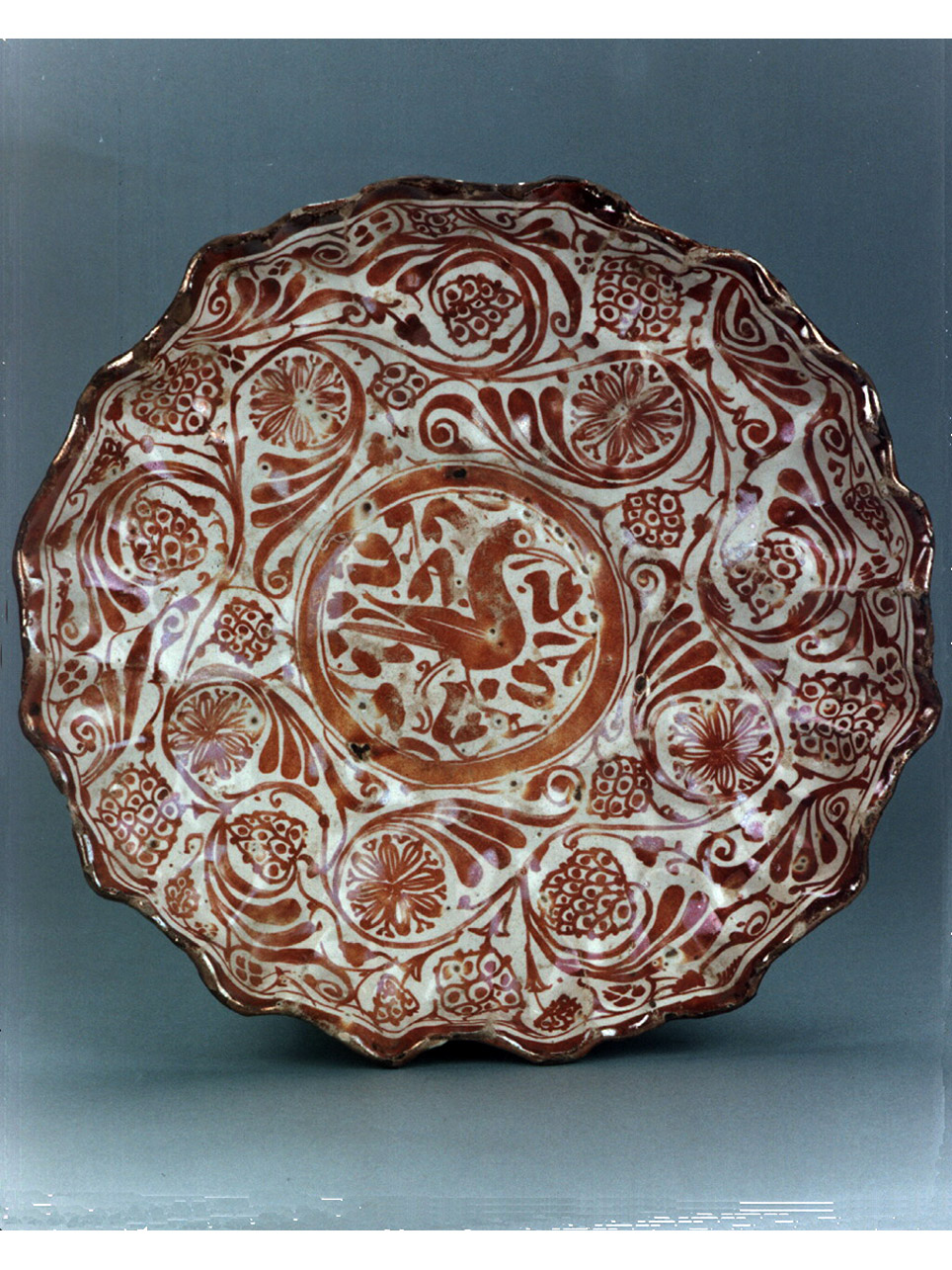 motivi decorativi floreali (crespina) - manifattura spagnola (seconda metà sec. XVI)