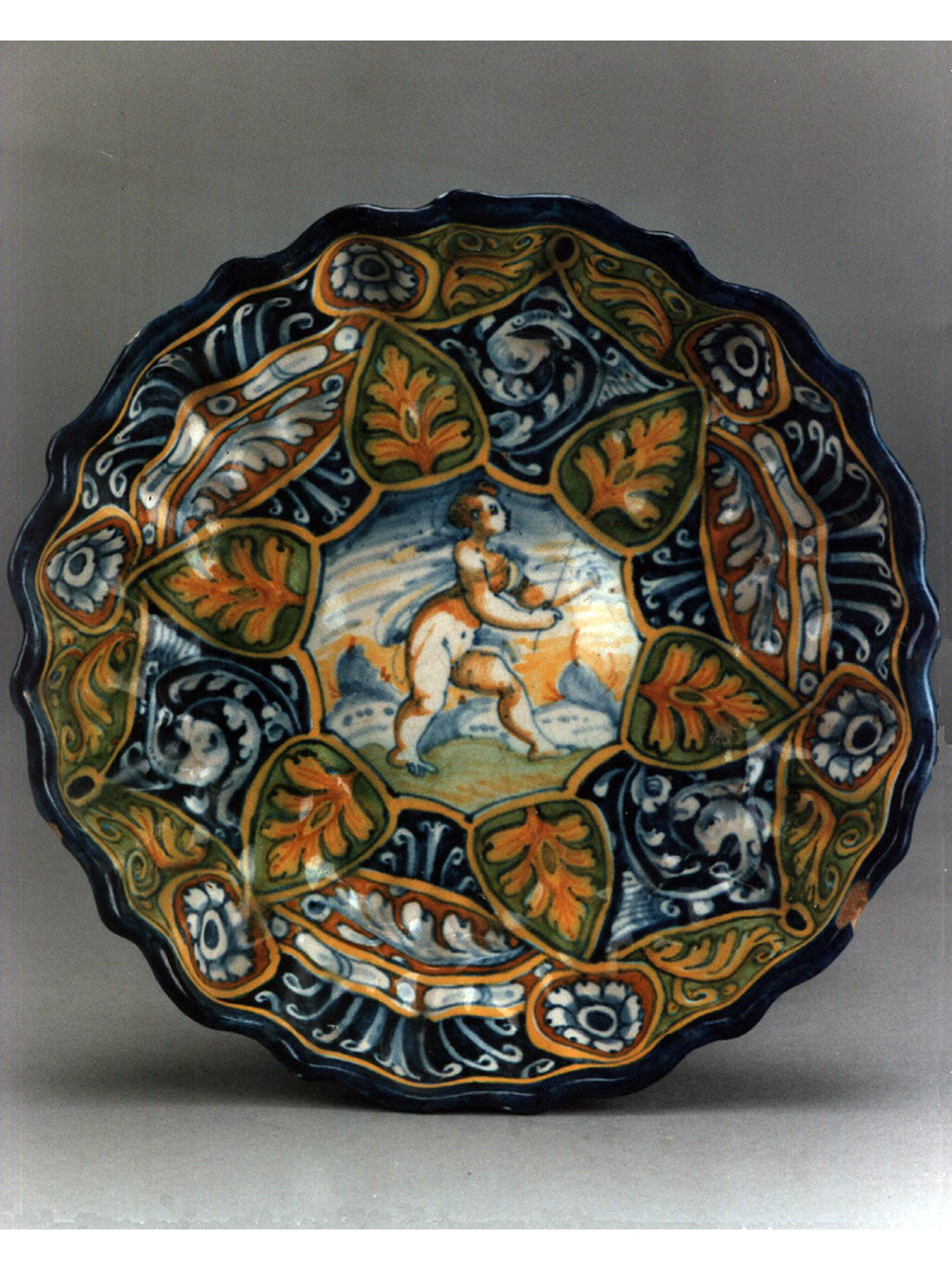 motivi decorativi vegetali (crespina) - manifattura di Faenza (sec. XVI)