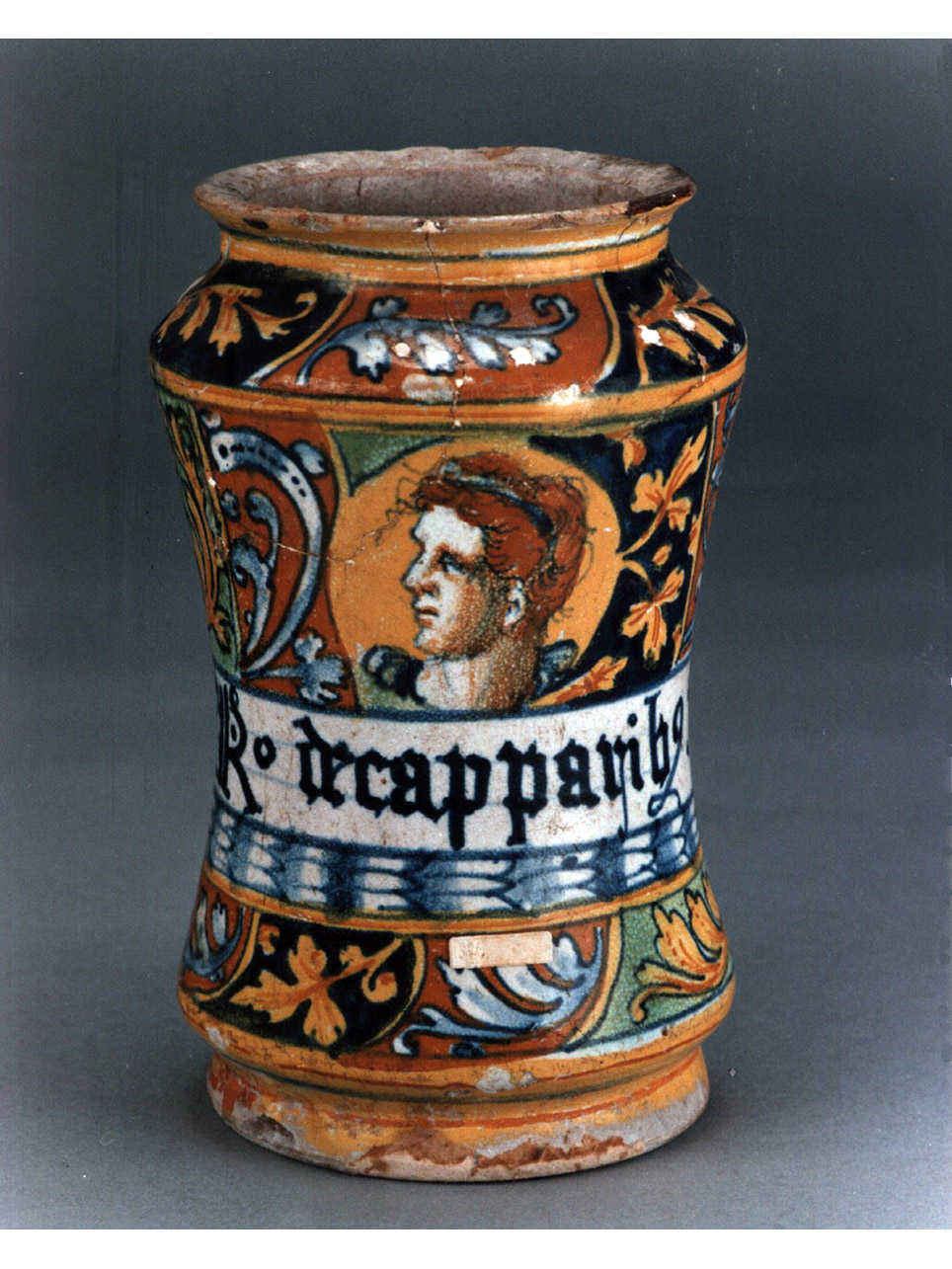 ritratto d'uomo di profilo (alberello) - manifattura di Faenza (sec. XVI)