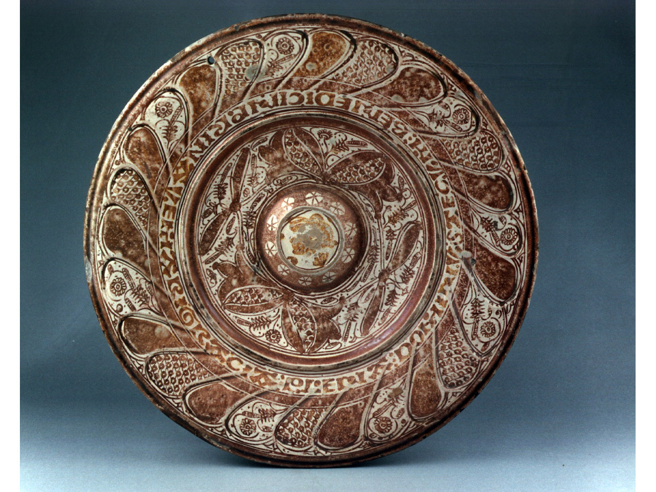 motivi decorativi floreali (piatto) - manifattura spagnola (seconda metà sec. XVI)