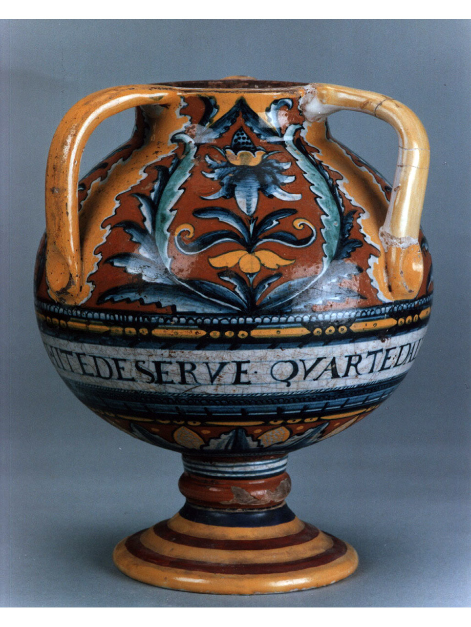 motivi decorativi floreali (vaso) - manifattura di Deruta (sec. XVI)