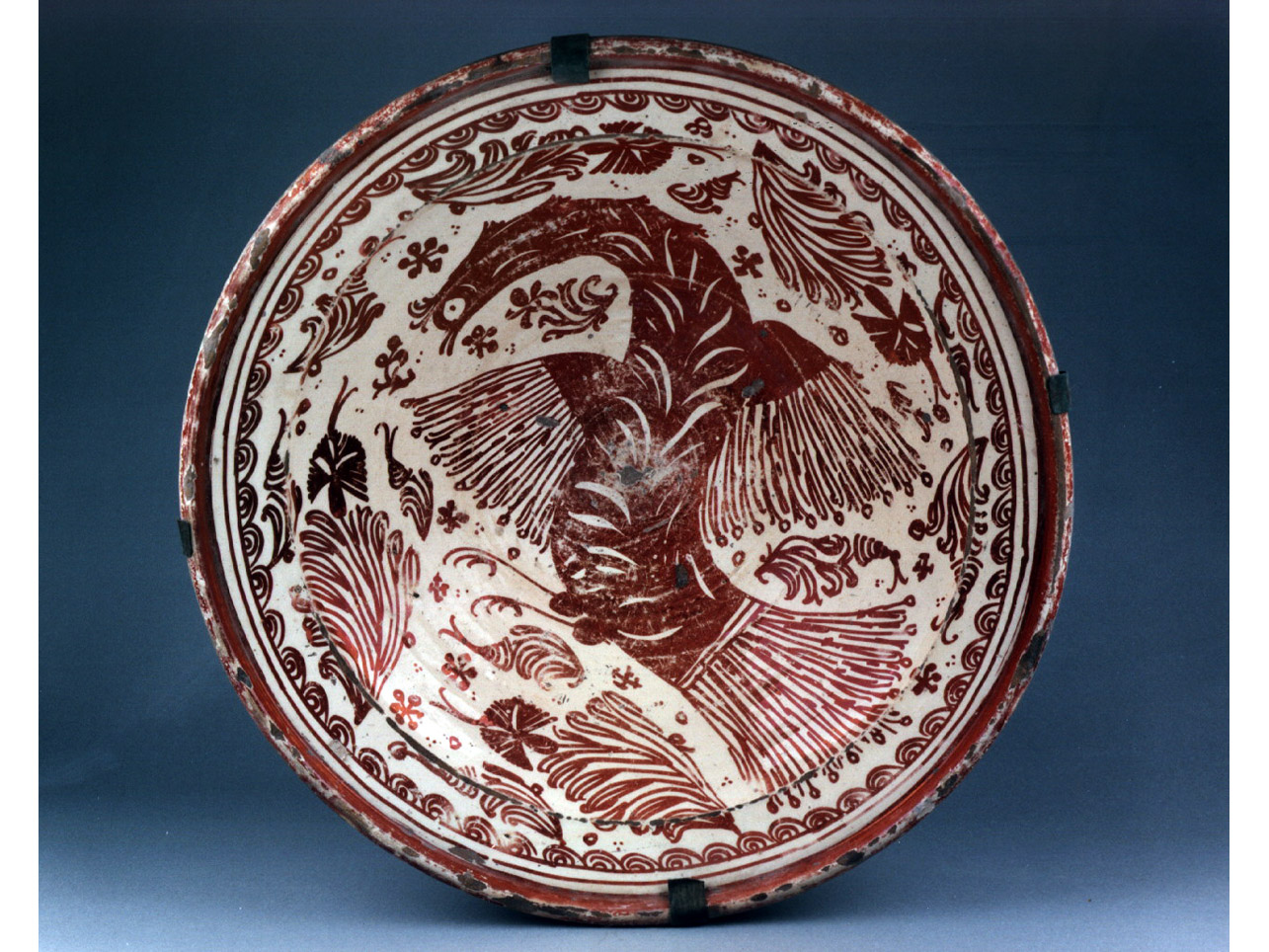 motivi decorativi (bacile) - manifattura spagnola (sec. XVIII)