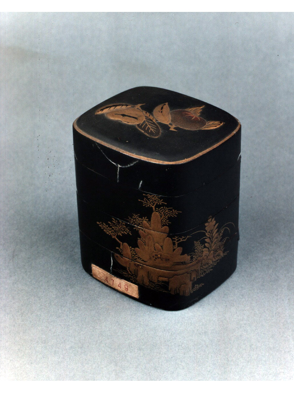 motivi decorativi vegetali (scatola) - manifattura giapponese (secc. XVII/ XVIII)