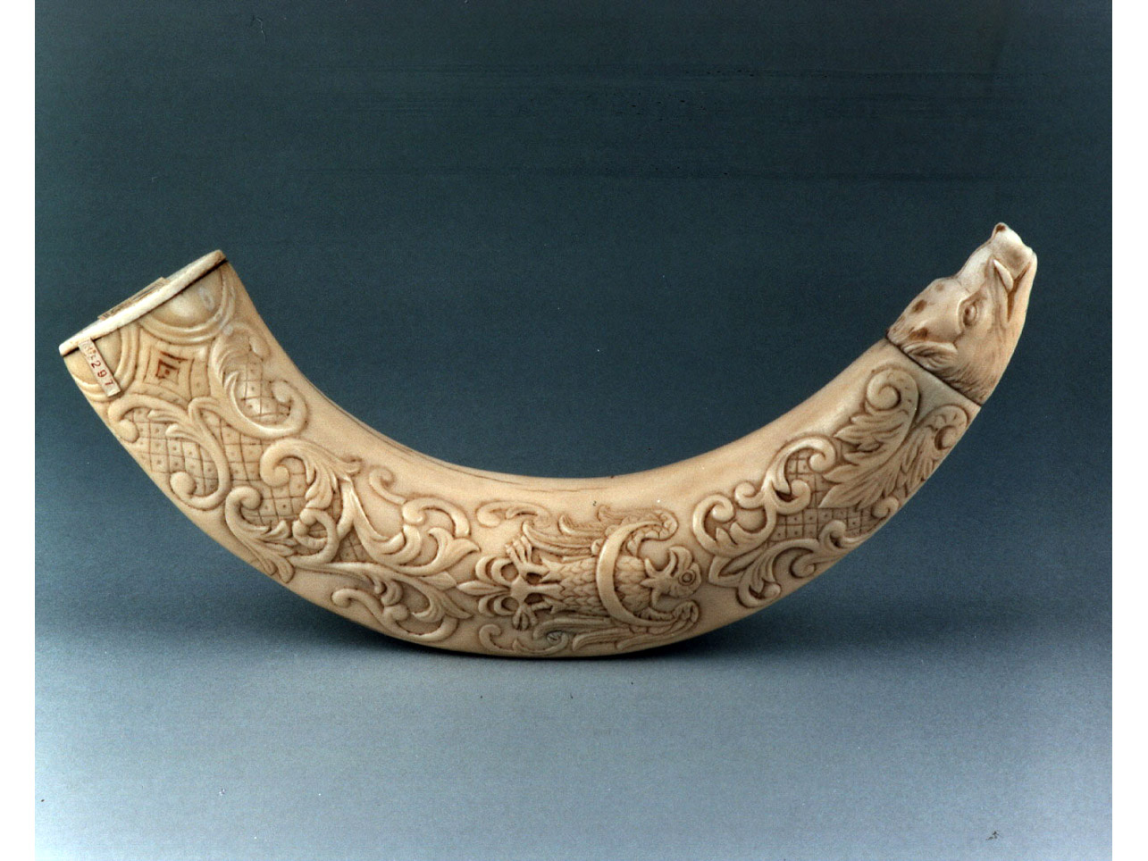 motivi decorativi fitomorfi/ animali (corno) - bottega Europa settentrionale (seconda metà sec. XVII)