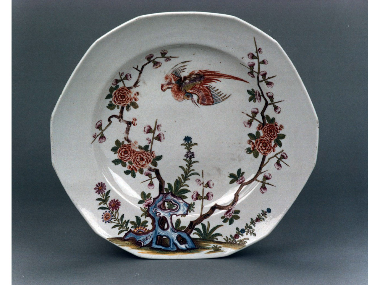 motivi decorativi vegetali e animali/ animali fantastici (piatto) - manifattura viennese, manifattura Du Paquier (sec. XVIII)