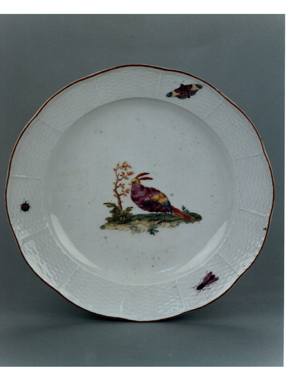 motivi decorativi vegetali e animali (piatto) - manifattura di Meissen (sec. XVIII)
