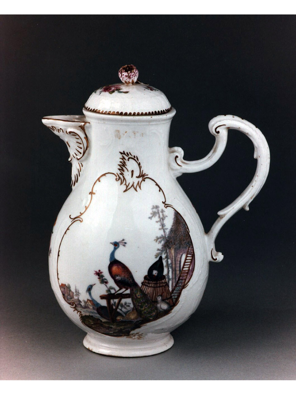 motivi decorativi vegetali e animali (caffettiera) - manifattura di Meissen (sec. XVIII)