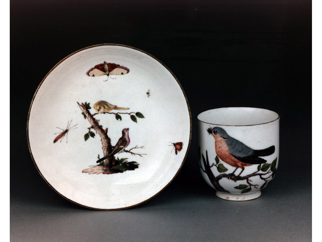 motivi decorativi vegetali e animali (tazza) - manifattura di Meissen (sec. XVIII)