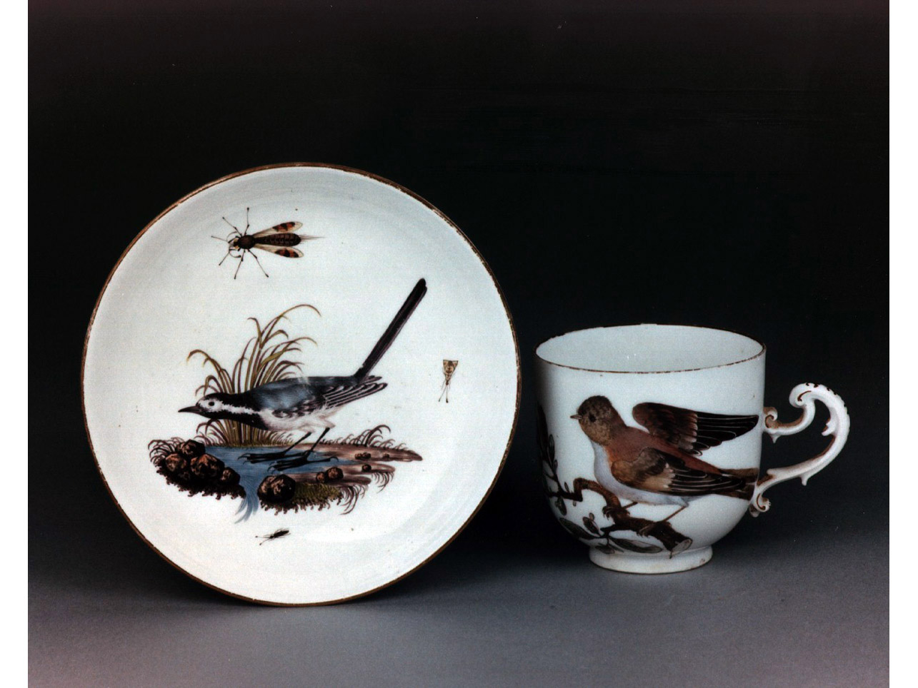 motivi decorativi vegetali e animali (tazza) - manifattura di Meissen (sec. XVIII)