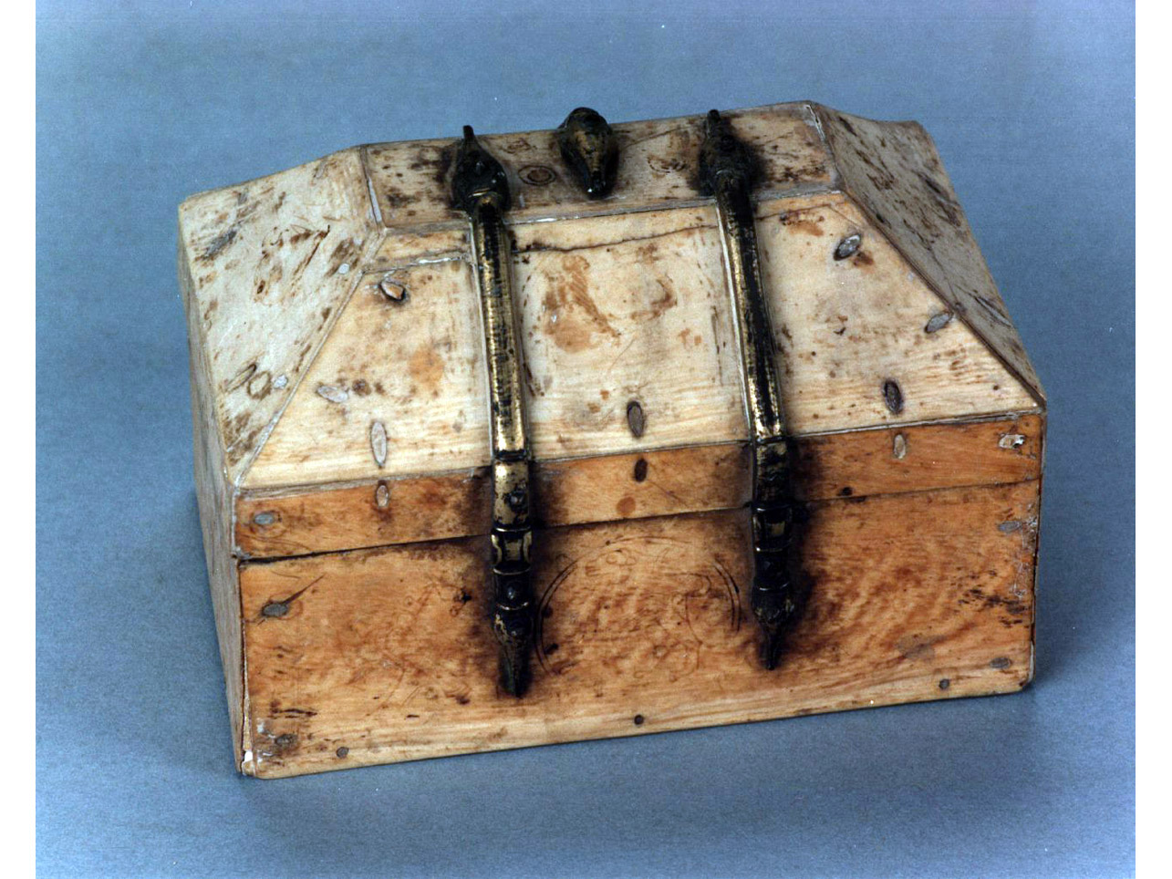 motivi decorativi zoomorfi (cofanetto) - bottega siciliana (sec. XIII)