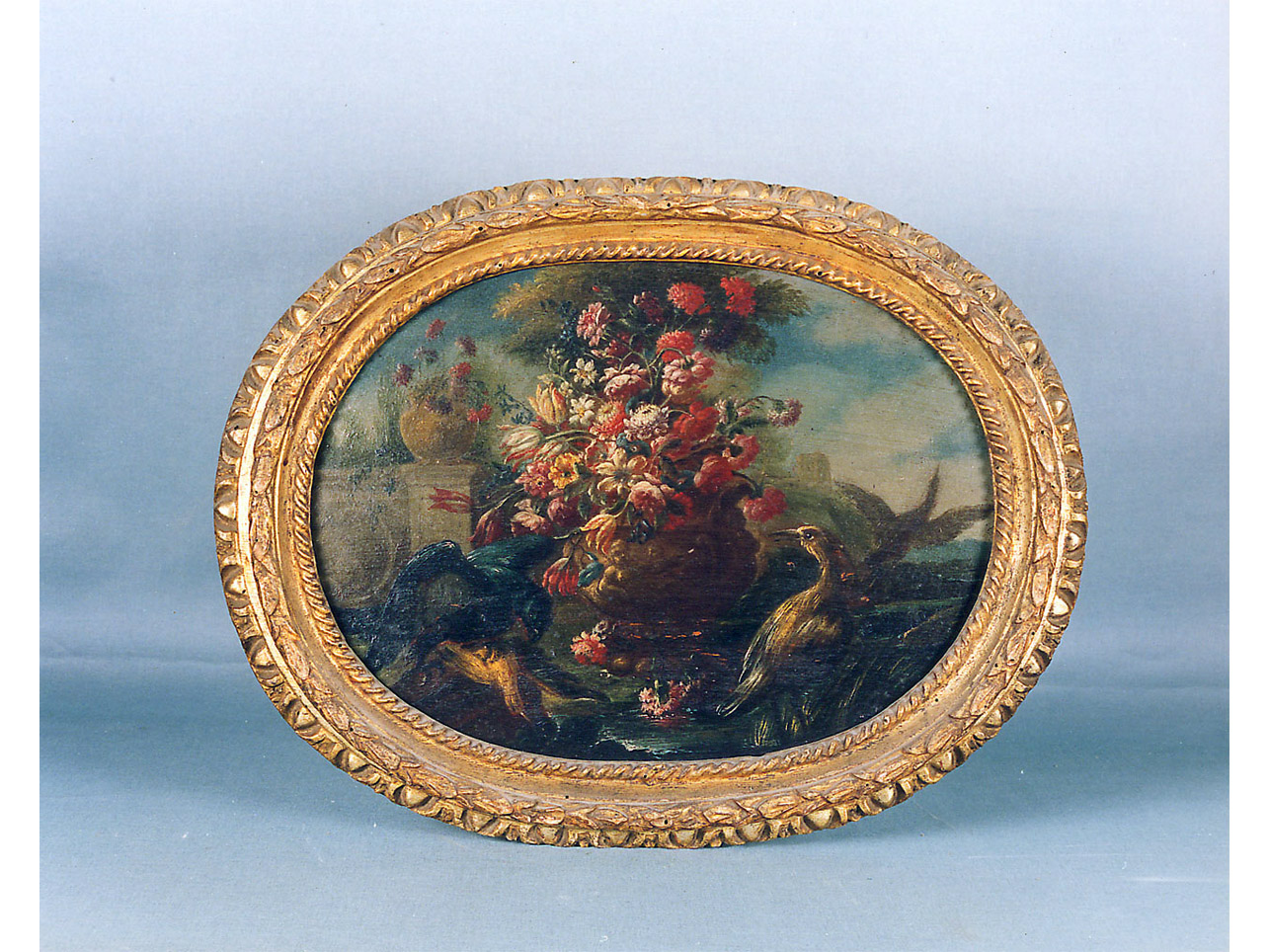 natura morta (dipinto) di Casissa Nicola (primo quarto sec. XVIII)