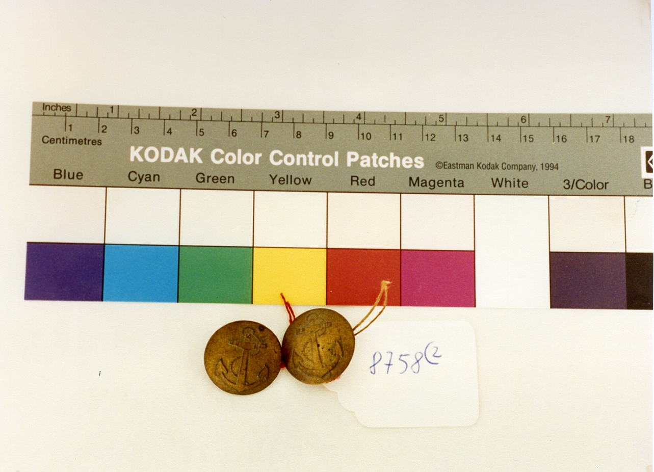 bottone, serie - bottega napoletana (sec. XIX)