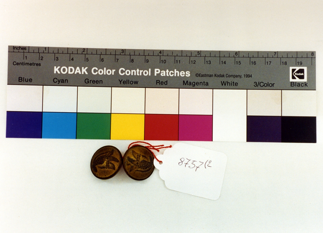 bottone, serie - bottega napoletana (sec. XIX)