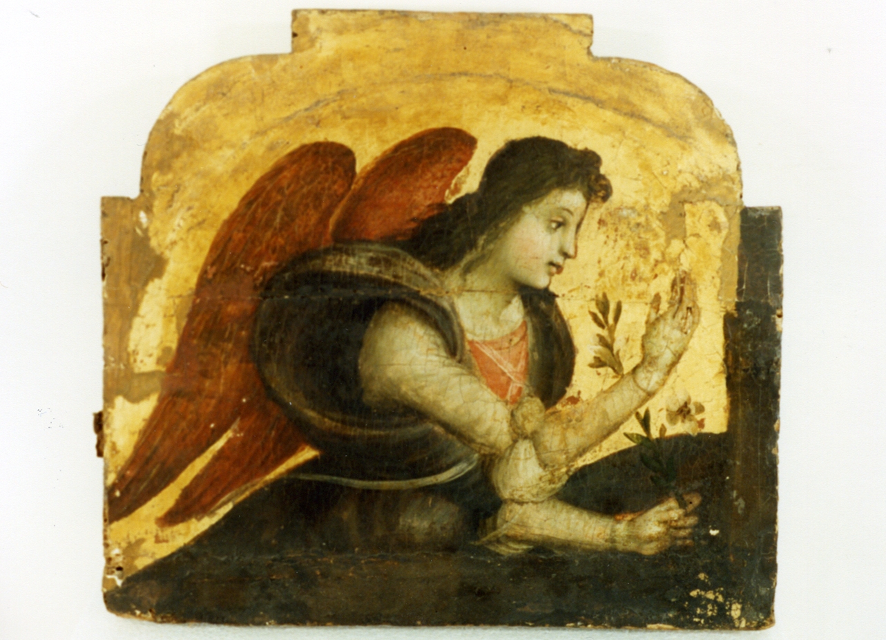 angelo annunciante (cimasa, elemento d'insieme) di Sparano Stefano (sec. XVI)