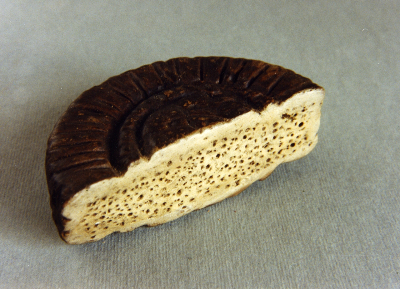 mezza forma di pecorino (scultura miniaturistica) - bottega napoletana (secc. XVIII/ XIX)