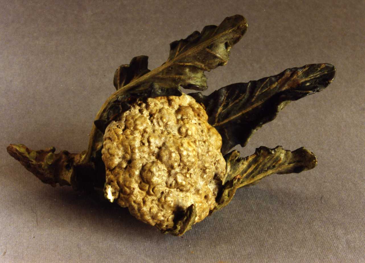 cavolfiore (scultura miniaturistica) - bottega napoletana (secc. XVIII/ XIX)