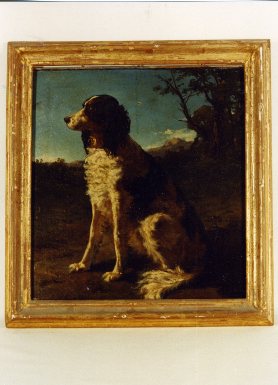 cane (dipinto) di Palizzi Filippo (seconda metà sec. XIX)